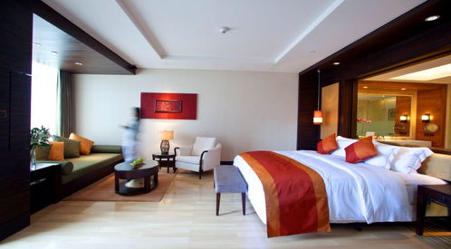 亲子精选 中秋国庆假期来了 在惠州这座森林秘境里静享亲子时光