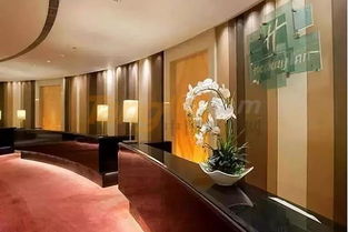 2019天津秋季糖酒会食品饮料酒店金三角格局 海河夏日酒店