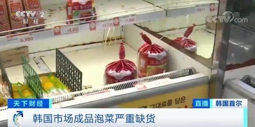 泡菜都腌不起了 一棵大白菜卖出62元 天价 这里240家工厂停工 餐厅的免费泡菜也没了...